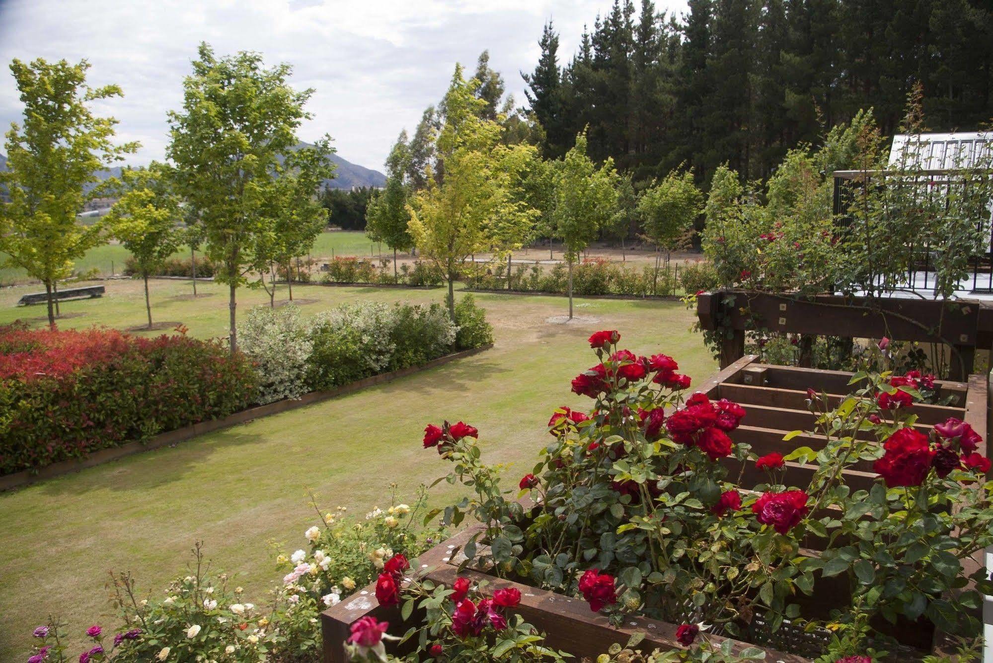 Maple Lodge Luxury Bed & Breakfast Albert Town Luaran gambar